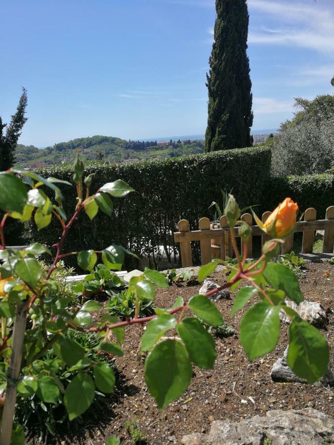 Da Adria Al Corvenale - Casa Vacanze Carrara - Villa Eksteriør billede
